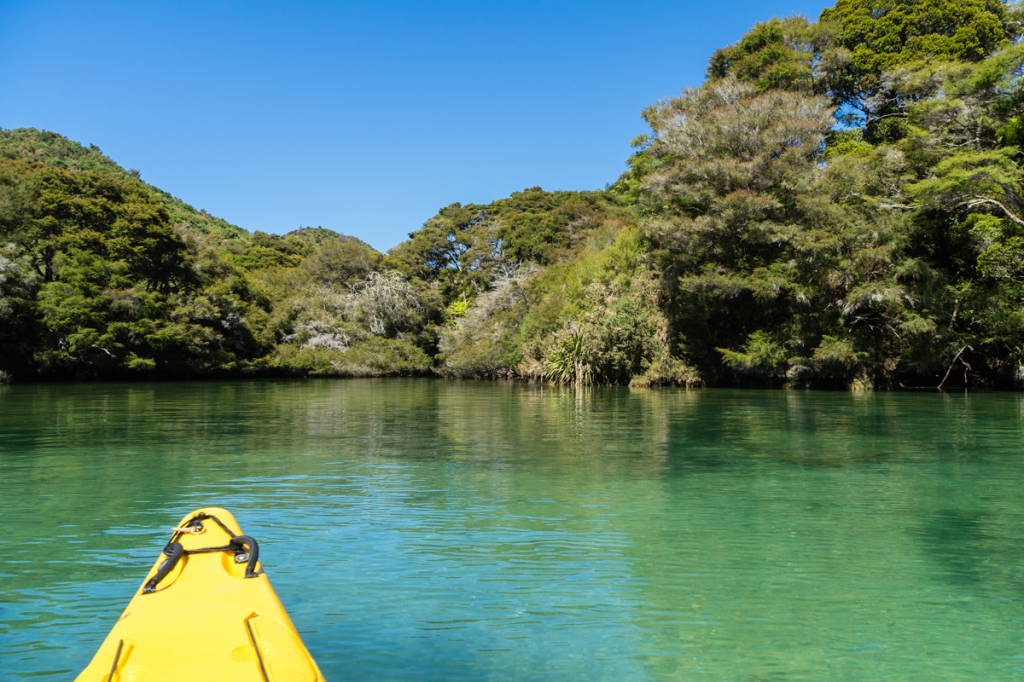 Kayaking in Abel Tasman National Park