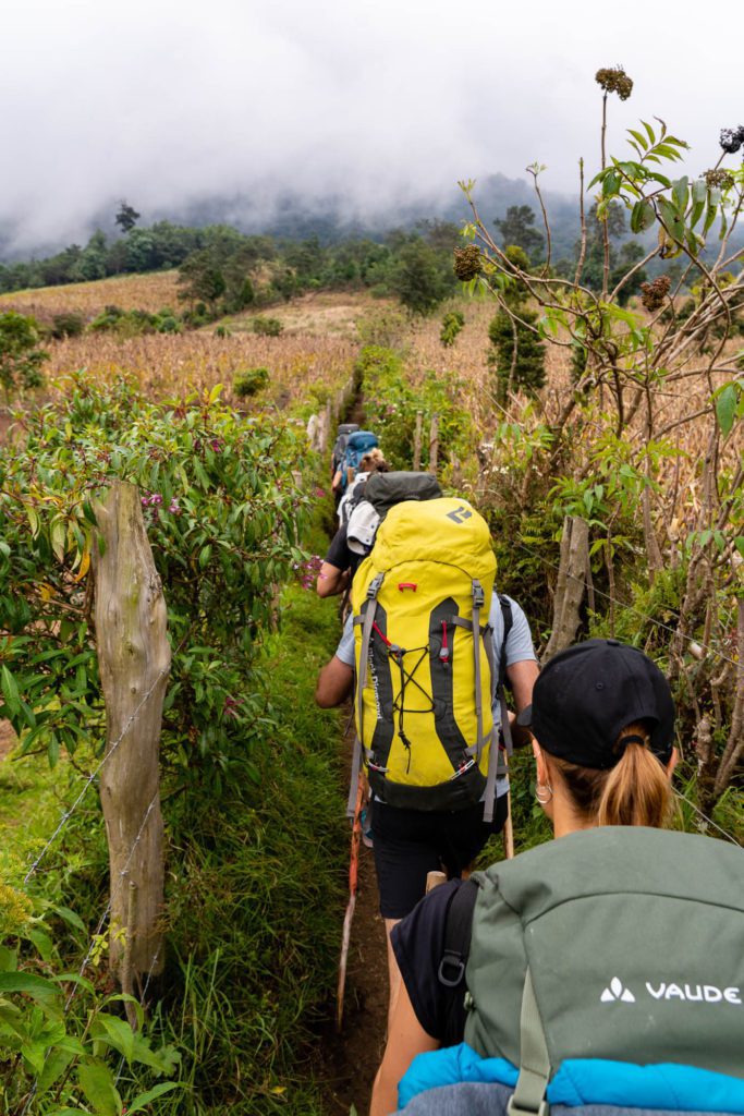 A group of hikers with backpacks trek through a lush trail surrounded by greenery, with cloudy mist shrouding the hills in the distance.