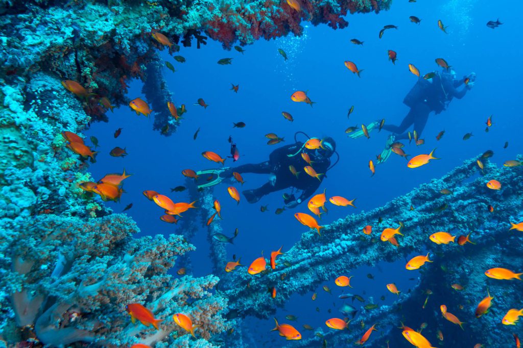 Two scuba divers are underwater exploring a coral reef teeming with orange fish. Blue ocean water surrounds the vibrant marine life.