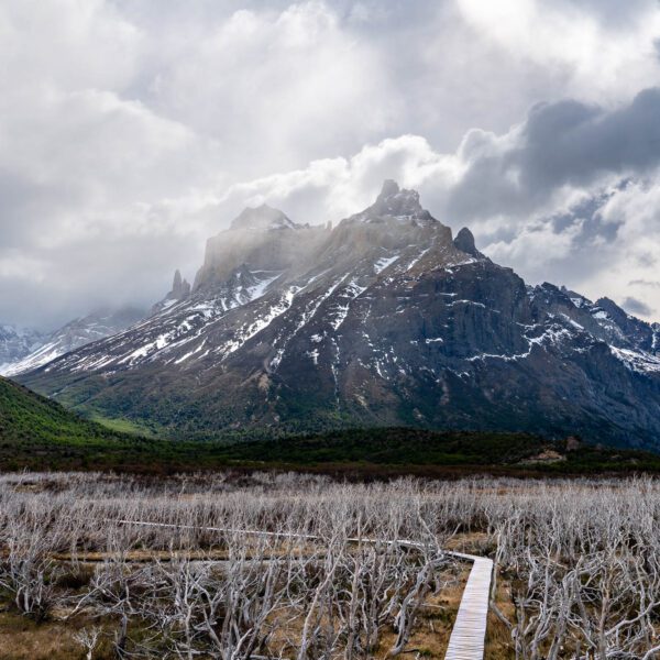 A dramatic landscape with a towering, jagged mountain peak, a wooden walkway through a barren, tree-filled plain, and a foreboding, cloudy sky above.