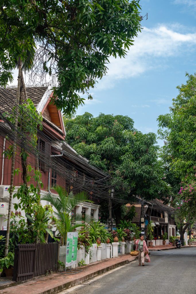 A person walks by traditional wooden buildings and lush greenery in a quiet street of Luang Prabang, Laos, with overhead power lines visible.