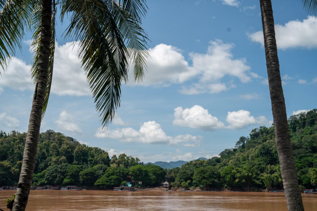 A river surrounded by lush green hills under a blue sky, framed by palm trees. No recognizable landmarks or buildings visible.