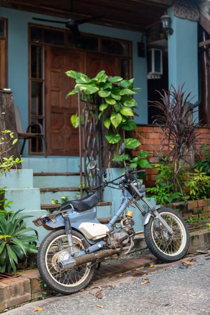 A vintage motorcycle parked near a blue house entrance, surrounded by lush green plants and rustic brick steps.