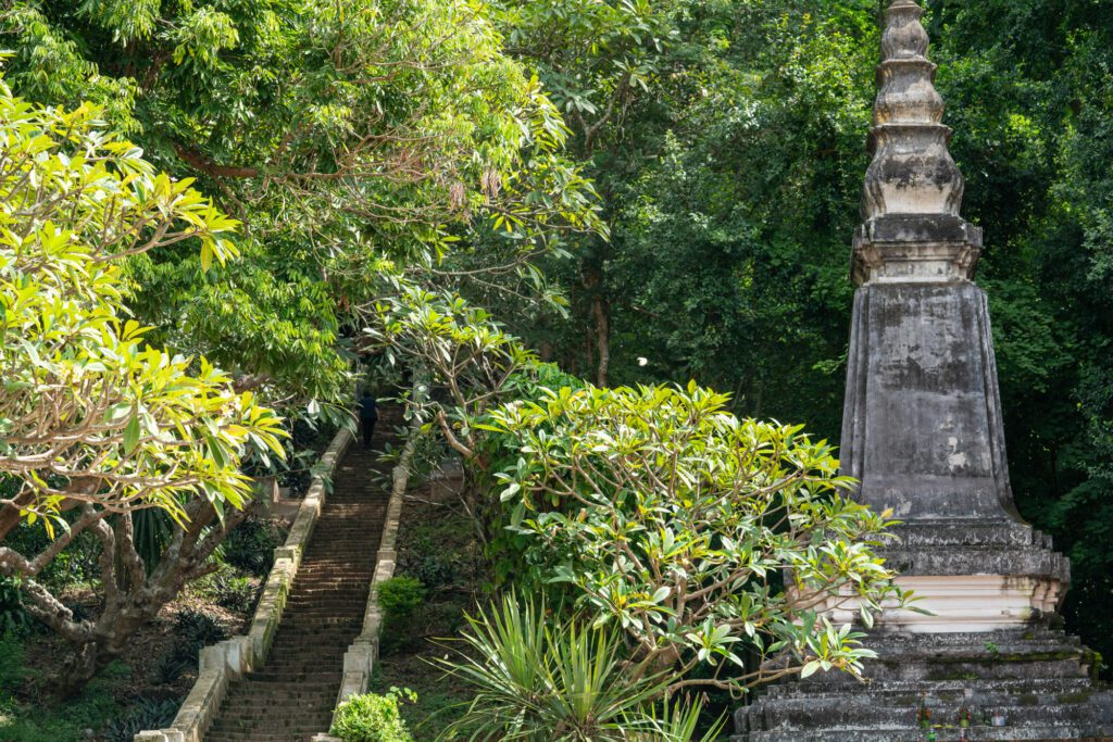 A person ascends stone steps surrounded by lush greenery. A tall, pagoda-like structure stands prominently amidst the trees in Luang Prabang, Laos.