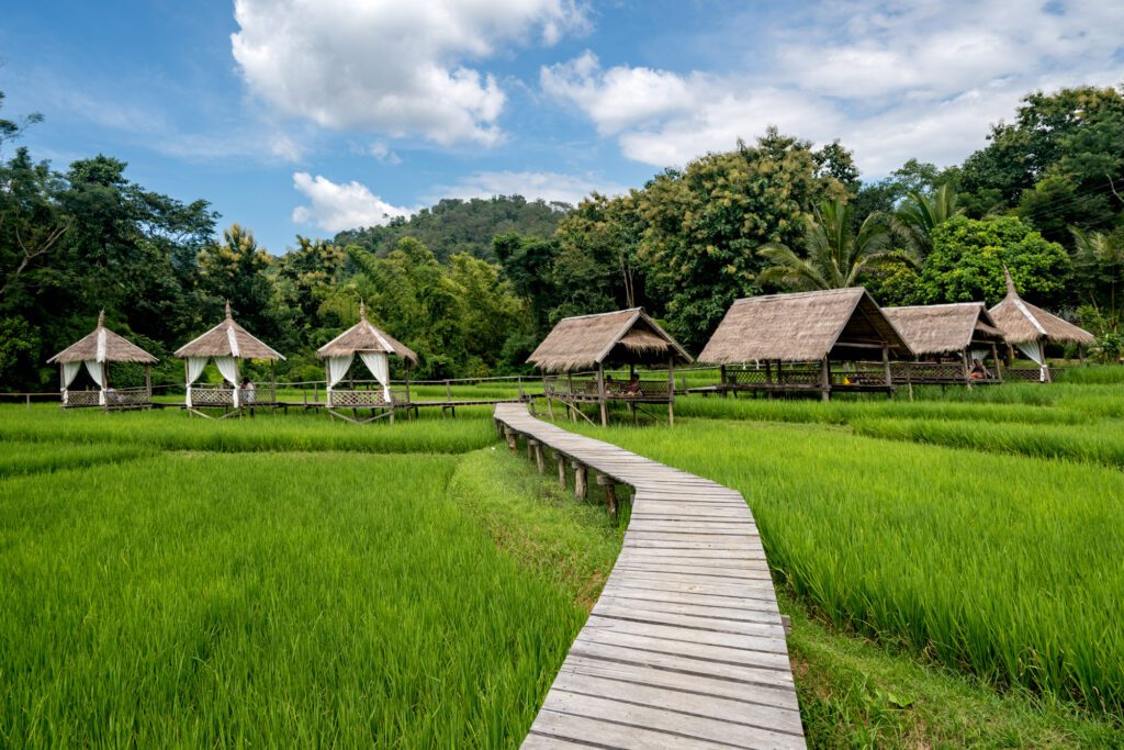 A scenic wooden walkway leads through lush green rice fields, surrounded by traditional thatched huts and dense forest under a partly cloudy sky.