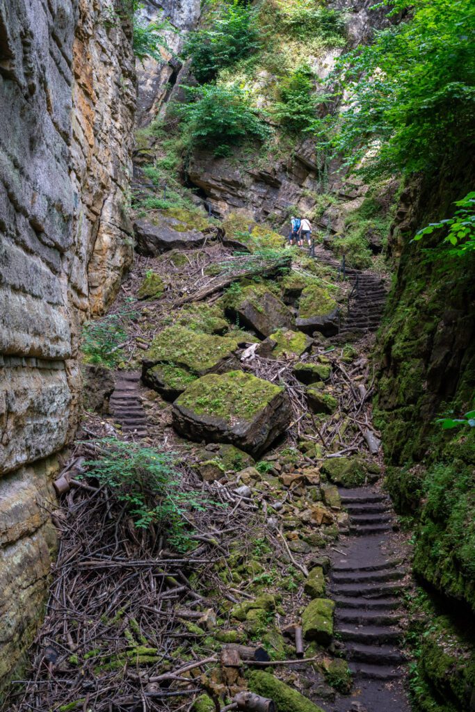 A person climbs a mossy, rocky path with stone stairs in a lush, narrow canyon surrounded by towering cliffs and greenery.