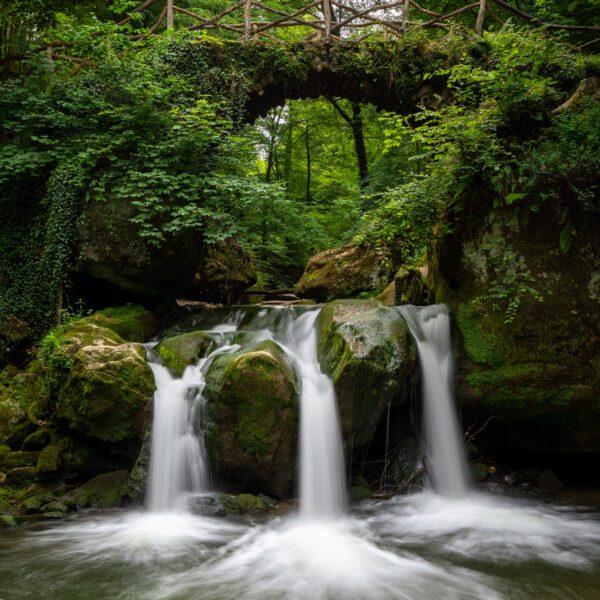 A serene waterfall cascades under a rustic wooden bridge in a lush forest, surrounded by vibrant greenery and moss-covered rocks.